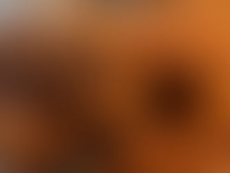 Crispy and Flavorful Fried Chicken with Noodles