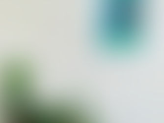 5 Reasons Why You Need Indoor Plants