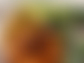 Plate of food with a cruciferous salad, avocadoes, spinach rice and pan fried salmon