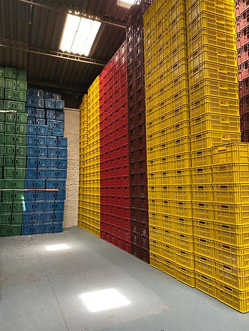 Imagen de WhatsApp 2024-01-20 a las 17.56.51_8ffc8fb2.jpg