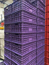 Imagen de WhatsApp 2024-01-20 a las 17.56.51_7a988d4a.jpg