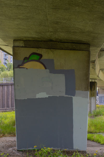 Image- 8.jpg