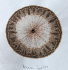 Botanical Chromograph