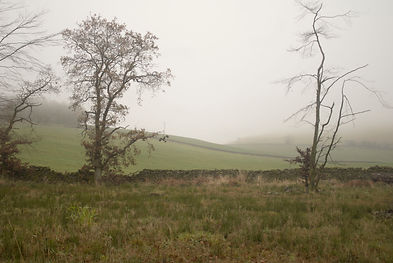 Image 2.JPG