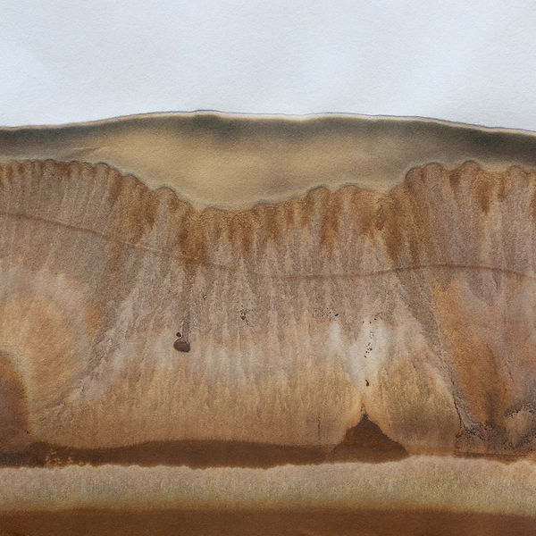 Botanical Chromograph