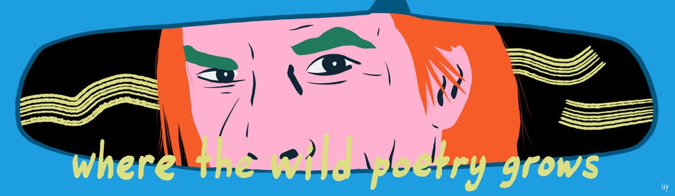 NICK CAVE - WILD POETRY GROWS