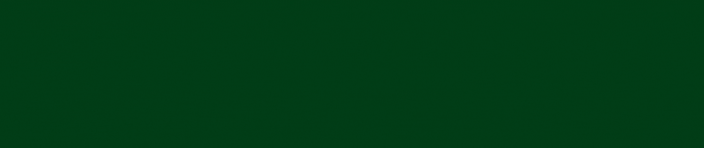 Mayoneur_banner.gif