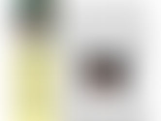 JORNAL DA CIDADE - PÁGINA 6