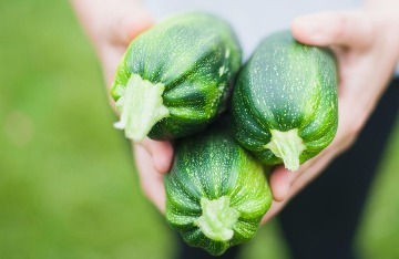 Free Produce Safety Training