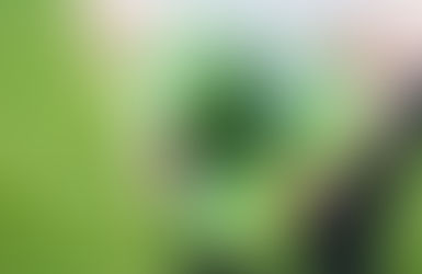 Free Produce Safety Training