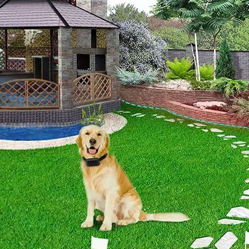 Thumbnail: Wireless Invisible Dog Fence - Remote Control, Collar, 