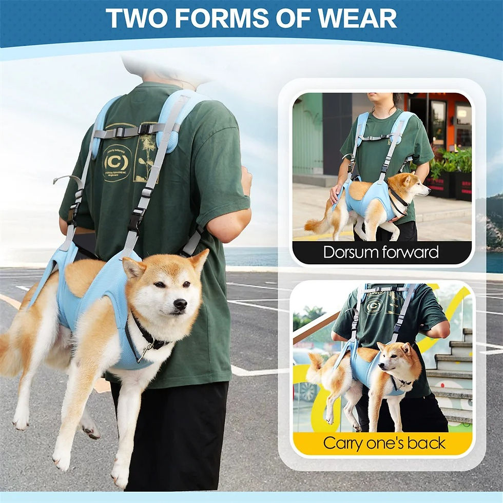 Thumbnail: Pet Backpack Basket for Dog Things Dogs Pets Accessories Carriers Bags Cats Carr