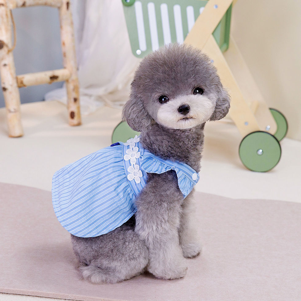 Thumbnail: Summer Princess Pet Striped Dress for Dogs Little Small Puppies Animal Cat Weddi