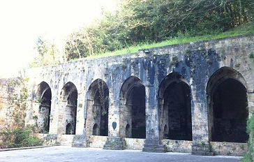 avvocato poggibonsi