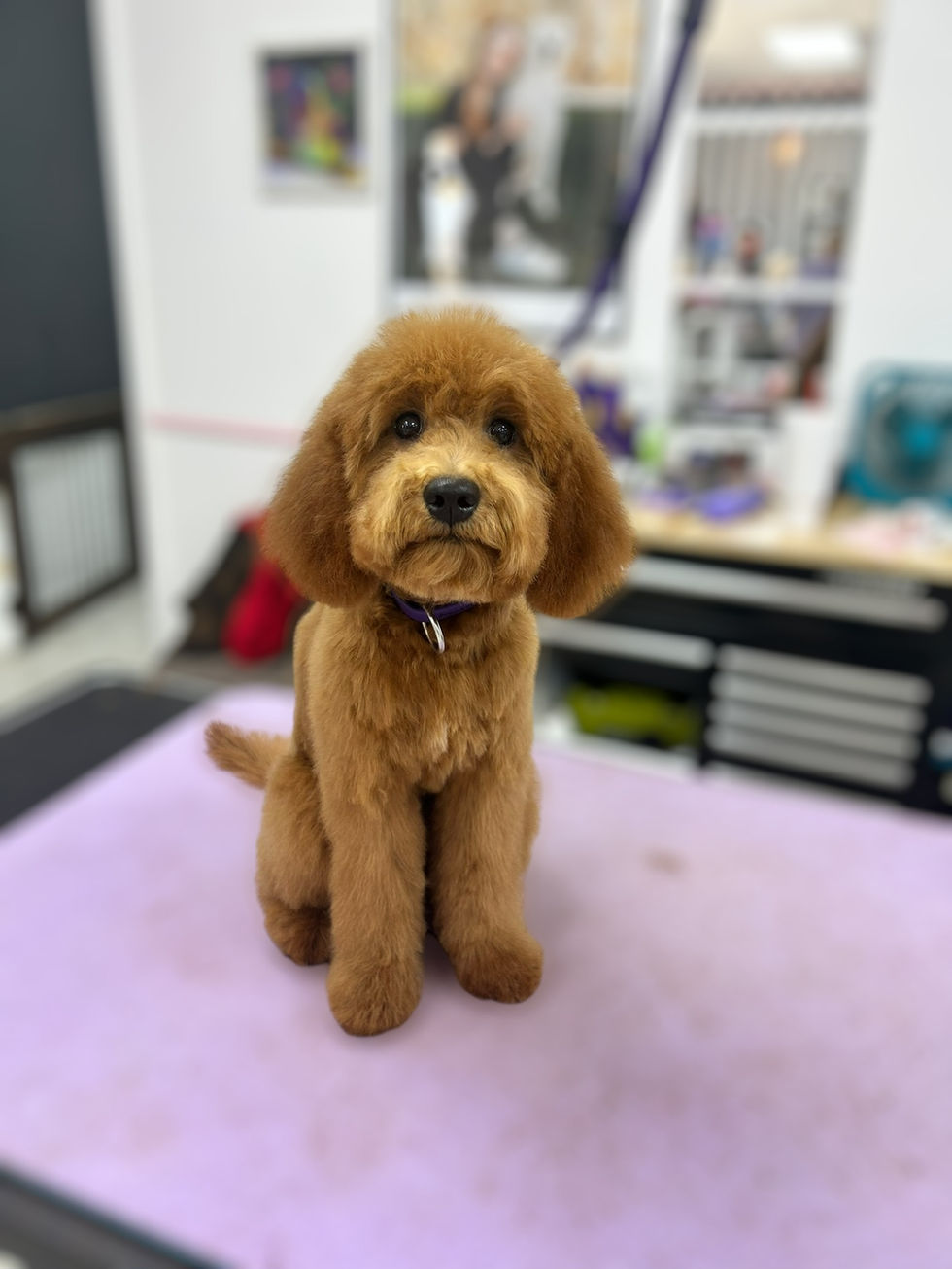 Photoroom_010_20241018_100807 2