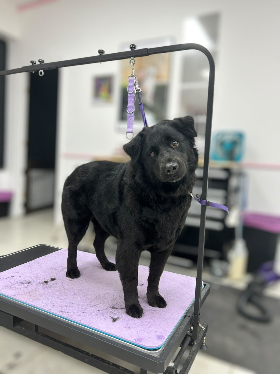 Photoroom_006_20241018_095402 2