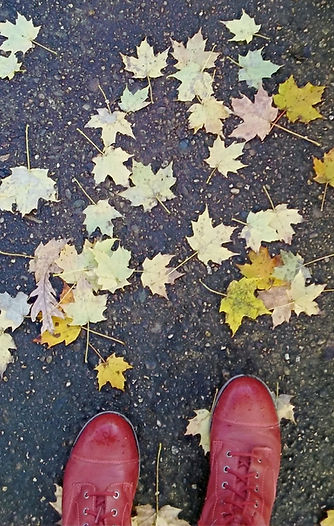 footsteps%20leaves_edited.jpg
