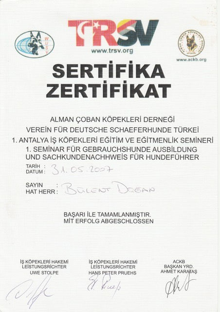working dogs certificate