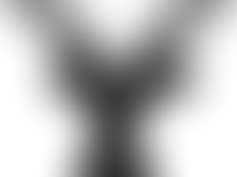 Texte de présentation pour le forum
Bonjour à tous, je m’appelle Bülent et je suis le fondateur de Pinoz.ch.