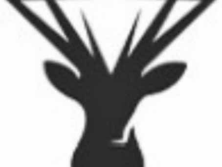 Texte de présentation pour le forum
Bonjour à tous, je m’appelle Bülent et je suis le fondateur de Pinoz.ch.