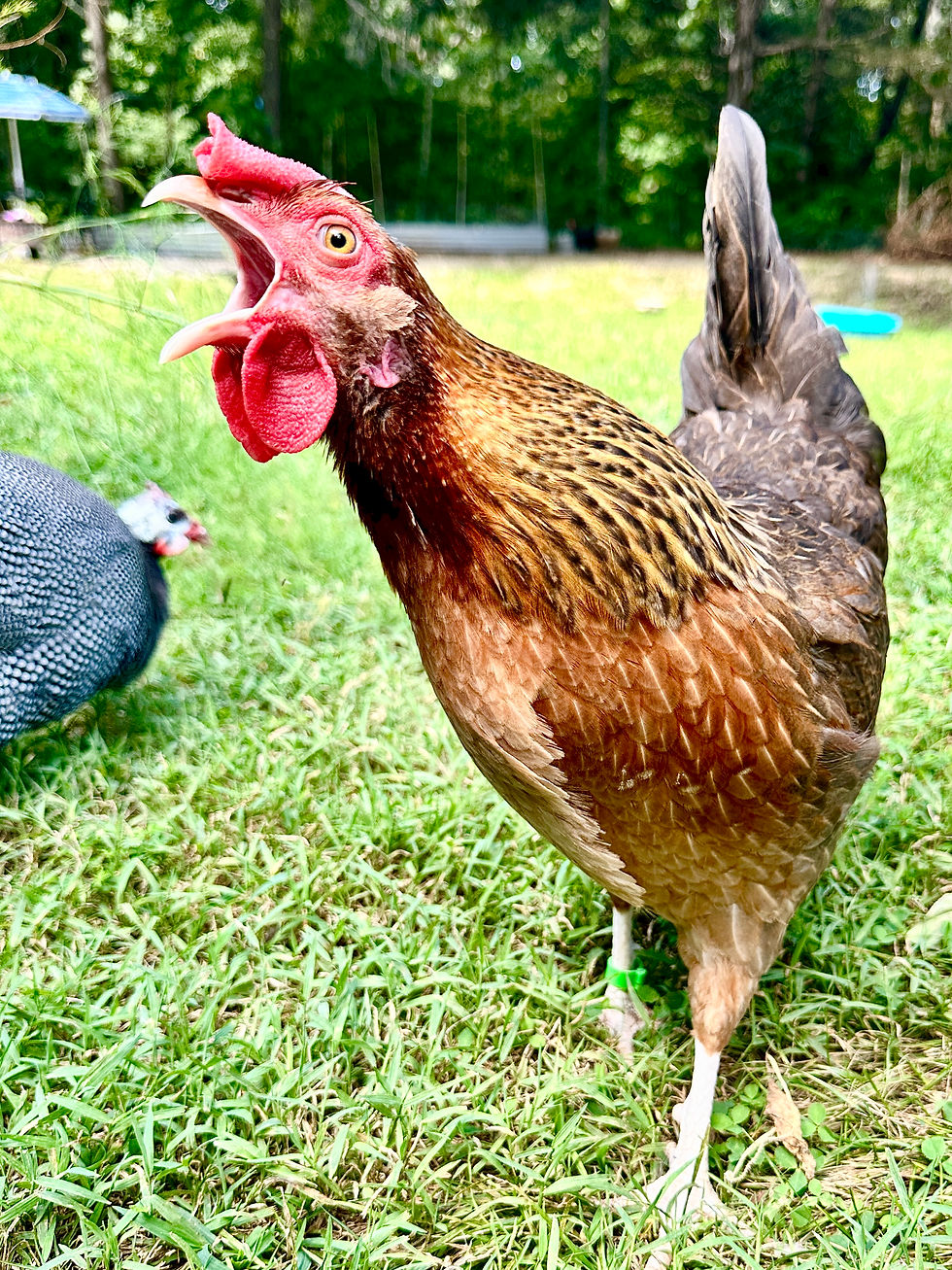 It's time for snacks!