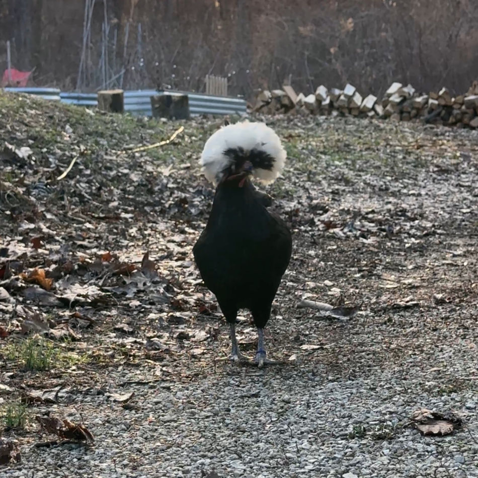 She Missed the Meeting