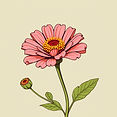 zinnia.jpg