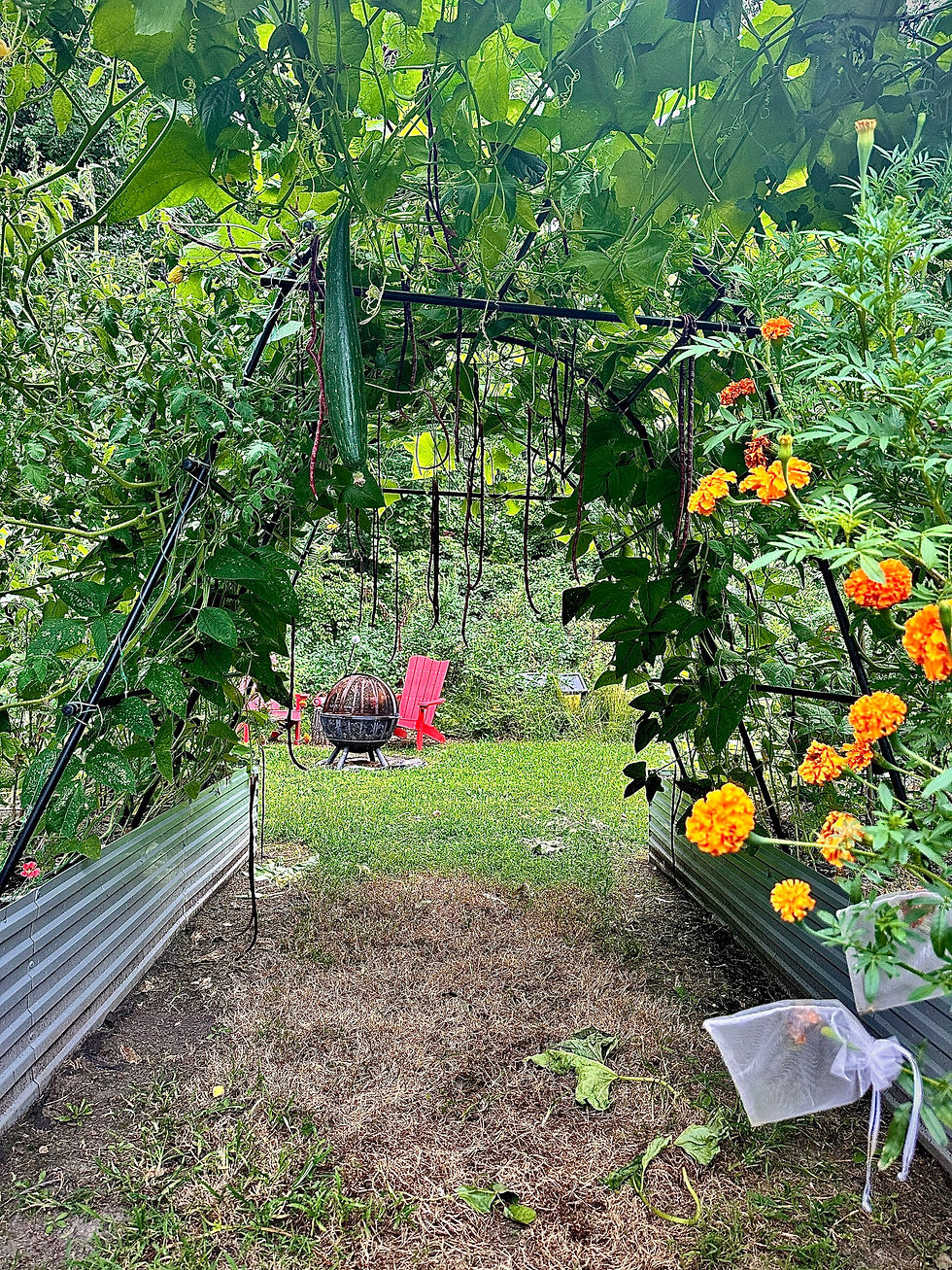 The woods at the garden’s edge