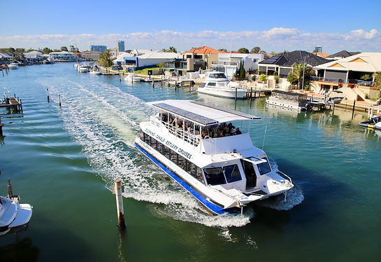 Dolphin & Scenic Marine Cruise (14) (2).jpg