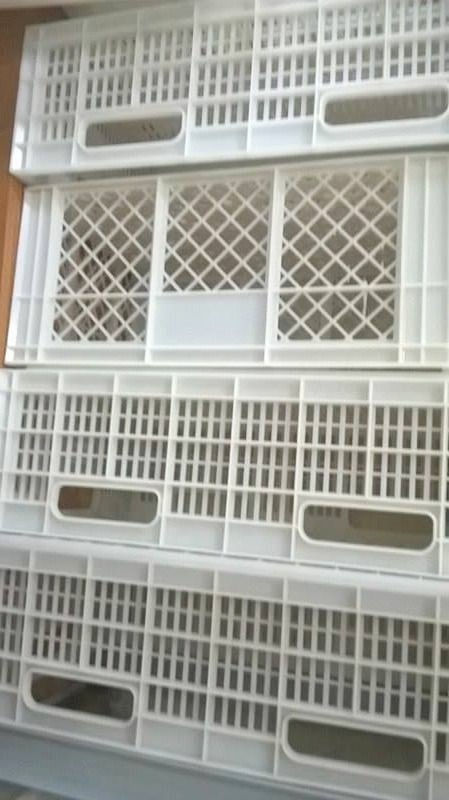 Bandejas Caladas