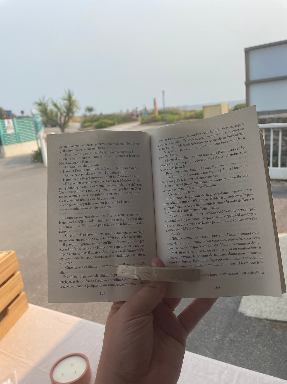 Miniature : Bague de lecture