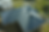 logos_edited.png