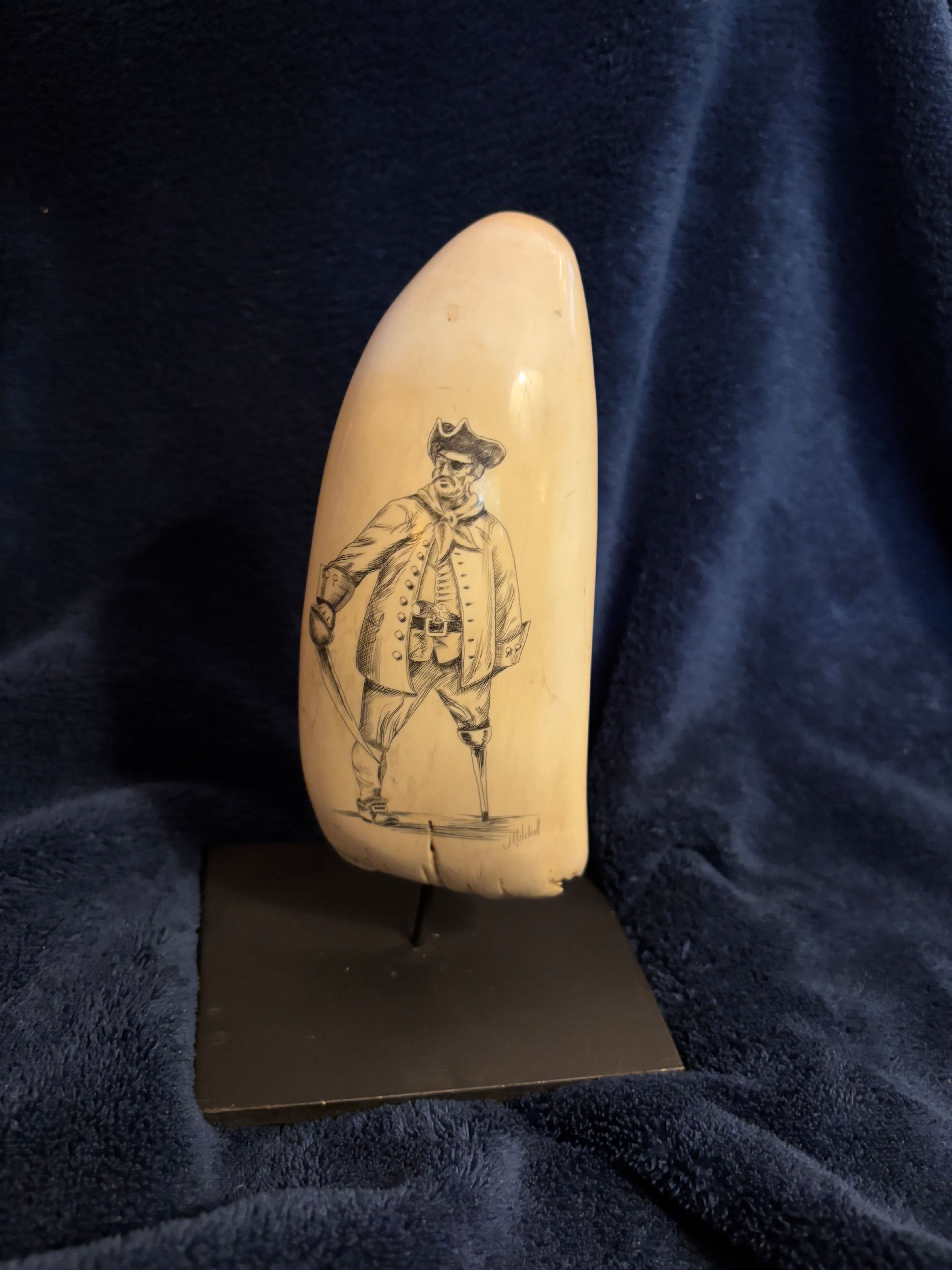 Whales Tooth Scrimshaw Pirate