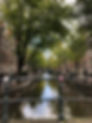 IMG_7369.jpeg