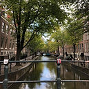 IMG_7369.jpeg