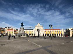 IMG_7528