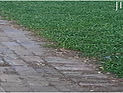 Untitled-8.jpg