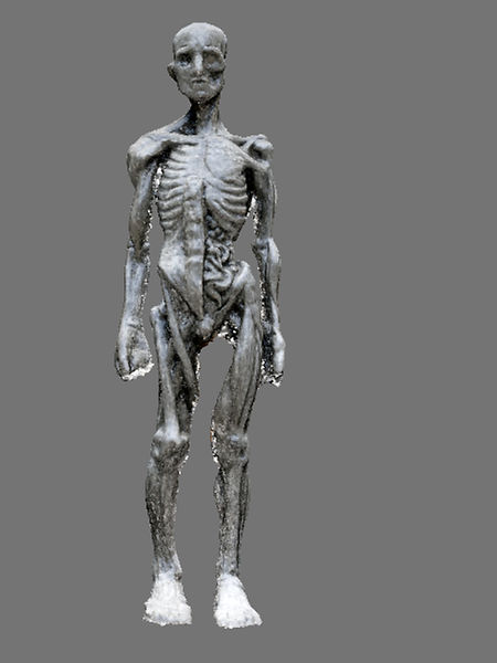 Capture d’écran 2021-09-04 131936_edited