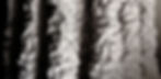 syrinx-crus_edited.jpg