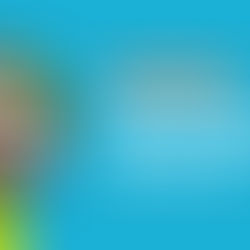 Helen’s Story – Her Dream of a Secure Home Has Come True