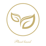 01 PNG (2).png