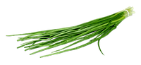 Spring Onions