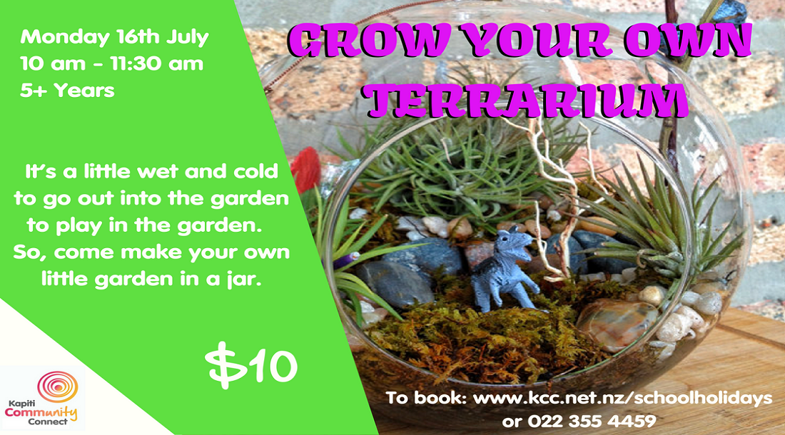 Grow A Terrarium - 16 July