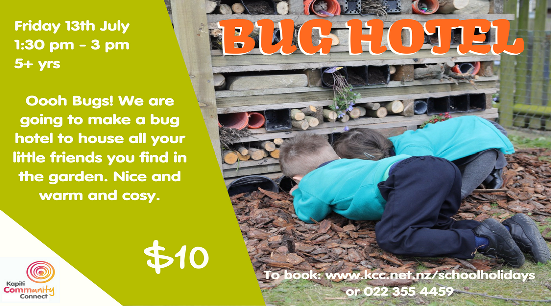 Bug Hotel - 13 July