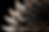oscarito2180_macro_photography_of_a_parametric_generative_str_4cb5491b-b17d-4644-9e8e-a7d5