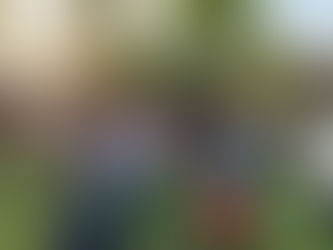 Campanella Renaissance Fair