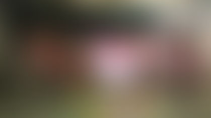 Defensoras de 15 organizaciones de la península de México se reúnen para trazar rutas de seguridad y