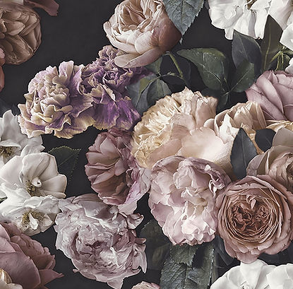 paradise-floral-wallpaper-black-pink-p76