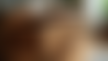 The Art of Design: Creating Invisible Solutions Through Intentional Calibration and Craftsmanship