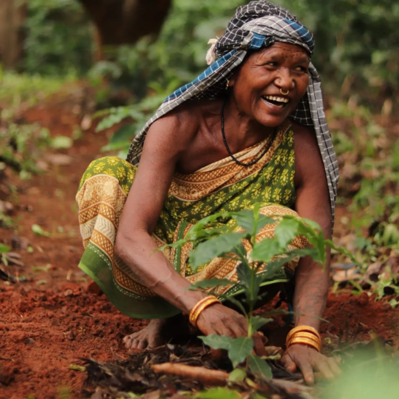 COFFEE GROWN BY THE TRIBALS AND ENJOYED BY THE WORLD